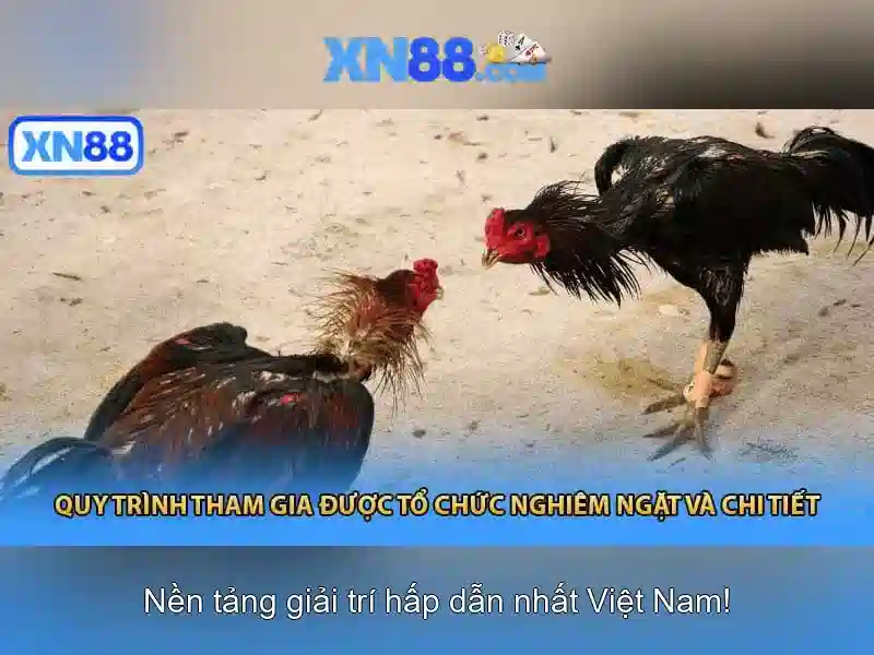 Mẹo chơi bắn cá 3 cây dễ ăn tiền nhà cái