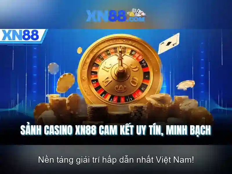 Lịch sử và phát triển\n