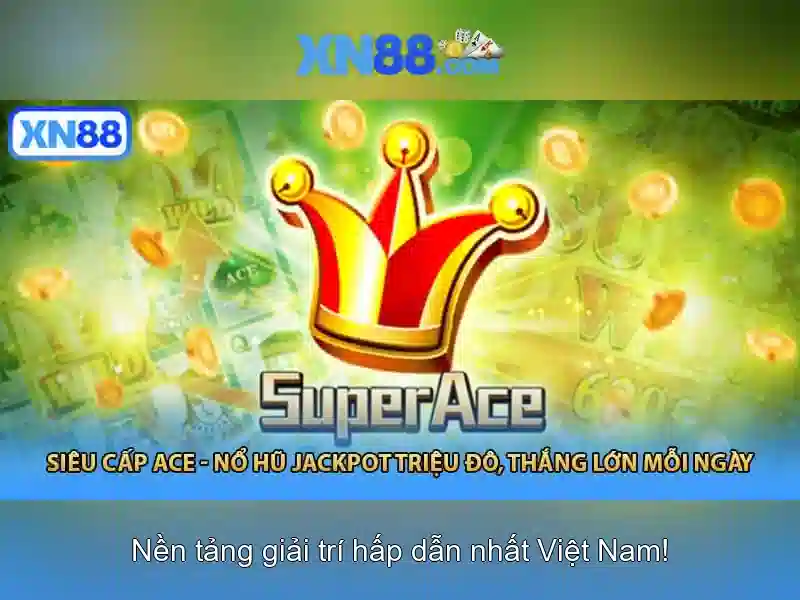 Khuyến mãi và hỗ trợ người dùng\n