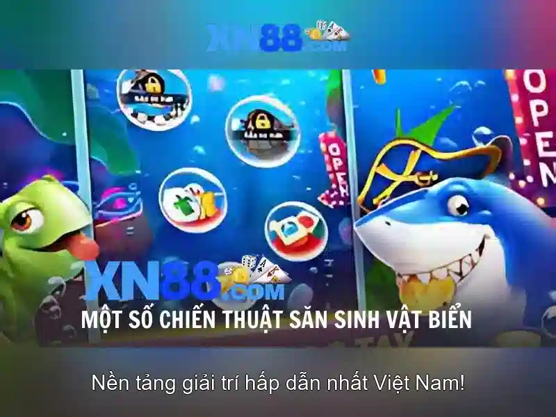 Kiến thức cơ bản về Xn88\n