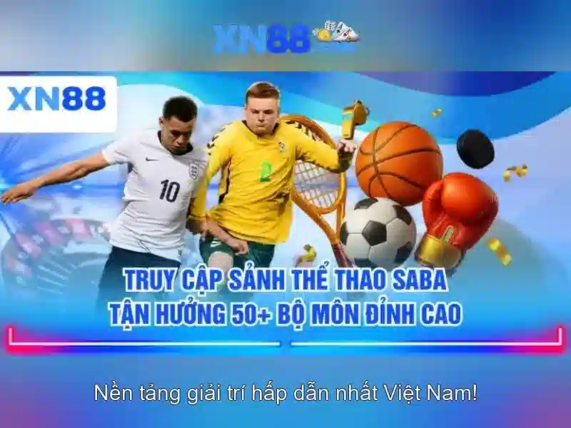  Trải nghiệm người dùng và phản hồi của cộng đồng