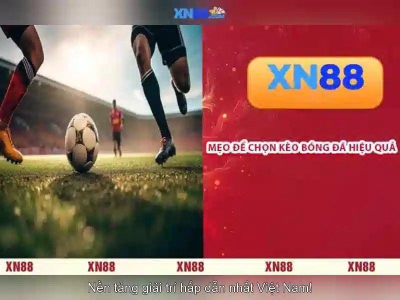 Giao diện và trải nghiệm người dùng