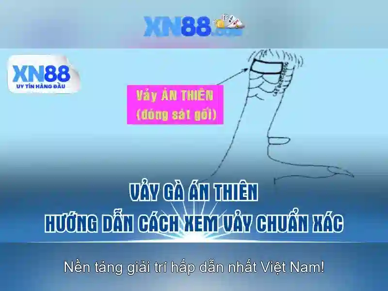 Xn88: Nền tảng cược và giải trí trực tuyến