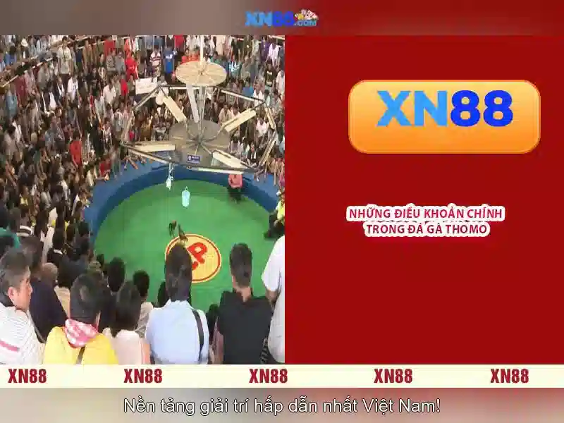 Xn88: Nhà cái trực tuyến và các trò chơi trên mạng