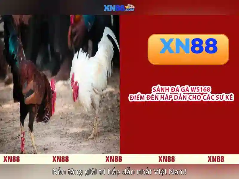 Cách hoạt động và các sản phẩm của XN88