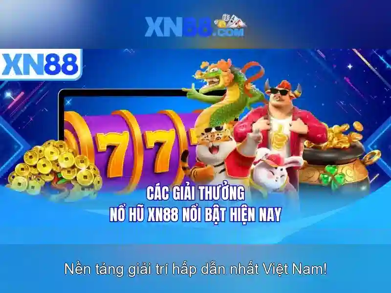 Xn88 là gì?