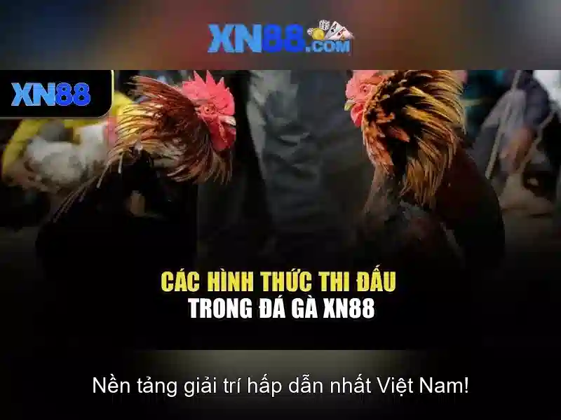 Mẹo chơi bắn cá 3 cây dễ ăn tiền nhà cái